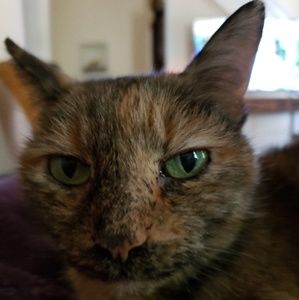 Meet your Posher, Wendy